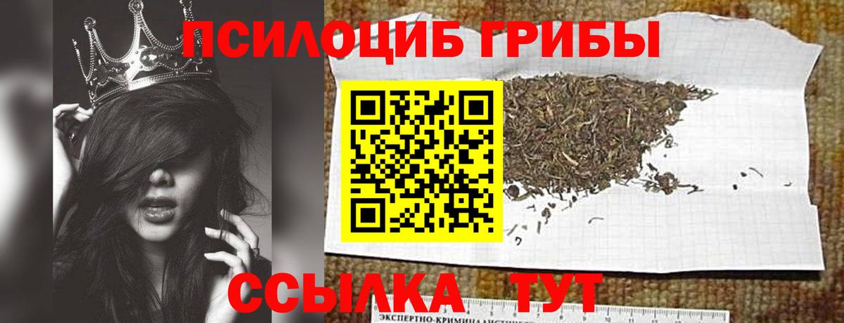 Гагарин  Галлюциногенные грибы Psilocybine cubensis  дарнет шоп  Вход с VPN  Галлюциногенные грибы MAGIC MUSHROOMS 